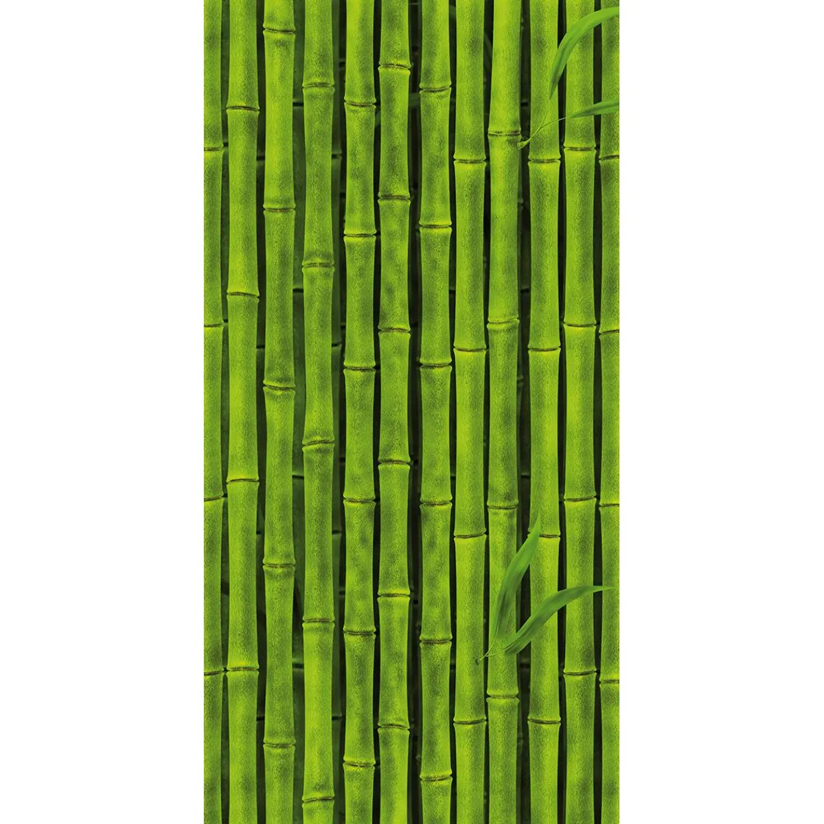 Pancartas Temáticas|Pancartas De Verano>DecoWoerner Pancarta De Tela Ignífuga "cañas De Bambú s" En Tela De Bandera 100 X 200 Cm verde