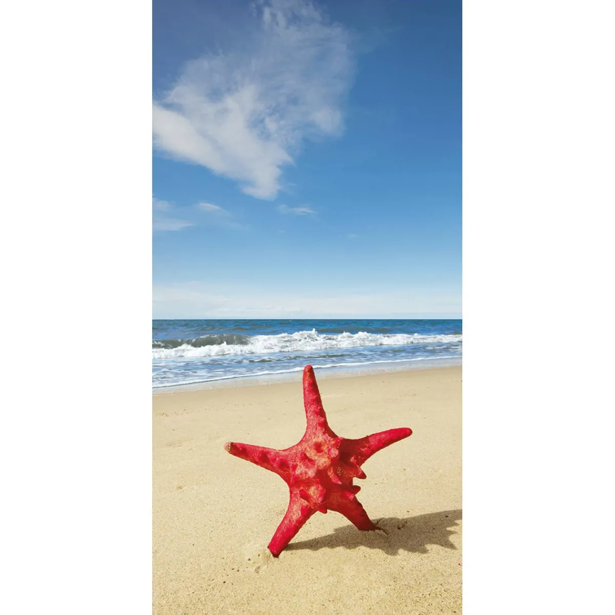 Decoración De Verano|Pancartas De Verano>DecoWoerner Pancarta De Tela Ignífuga "estrella De Mar Roja Junto Al Mar" De Tela De Bandera 100 X 200 Cm rojo