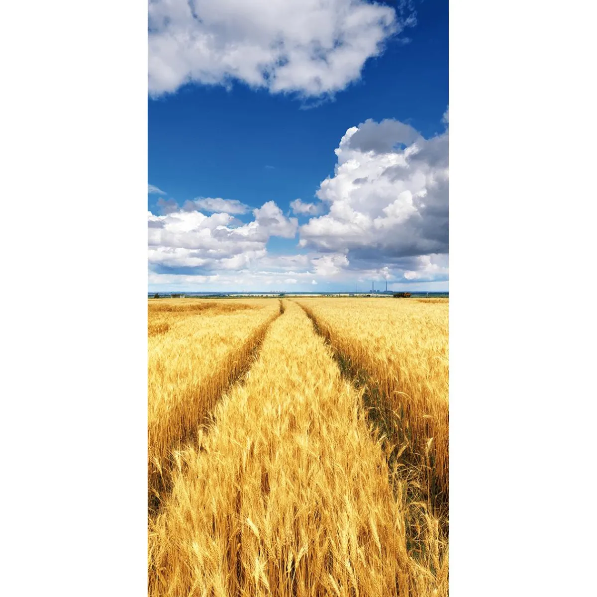 Decoración Temática|Decoración De Verano>DecoWoerner Pancarta De Tela Ignífuga "campo De Maíz Dorado Bajo Un Cielo Azul" De Tela De Bandera 100 X 200 Cm amarillo