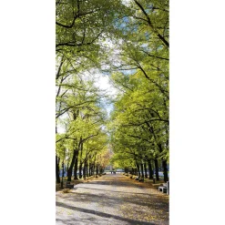 Decoración De Otoño|Decoración De Verano>DecoWoerner Pancarta De Tela Ignífuga "Avenida En El Parque" De Tela De Bandera 100 X 200 Cm verde