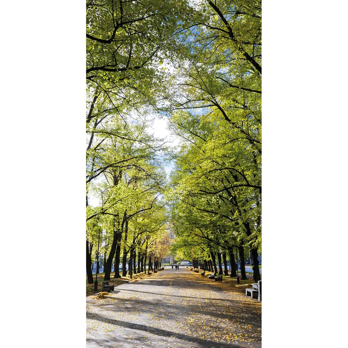 Decoración De Otoño|Decoración De Verano>DecoWoerner Pancarta De Tela Ignífuga "Avenida En El Parque" De Tela De Bandera 100 X 200 Cm verde