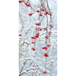 Pancartas De Navidad E Invierno>DecoWoerner Pancarta De Tela Ignífuga "Bayas De Invierno" De Tela De Bandera 100 X 200 Cm rojo