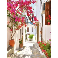 Bandera Xxl>DecoWoerner Pancarta De Tela XL "Callejón Del Mediterráneo Con Buganvilla" De Tela De Bandera Ignífuga 150 X 200 Cm rosa