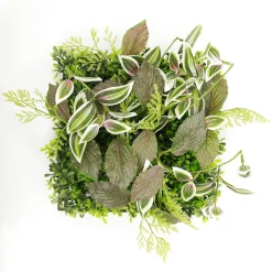 Decoración De Verano|Paredes De Plantas>DecoWoerner Panel Artificial De Arbusto De Fitonia 25 X 25 Cm verde
