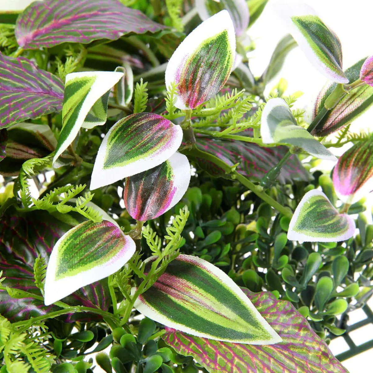 Decoración De Verano|Paredes De Plantas>DecoWoerner Panel Artificial De Arbusto De Fitonia 25 X 25 Cm verde