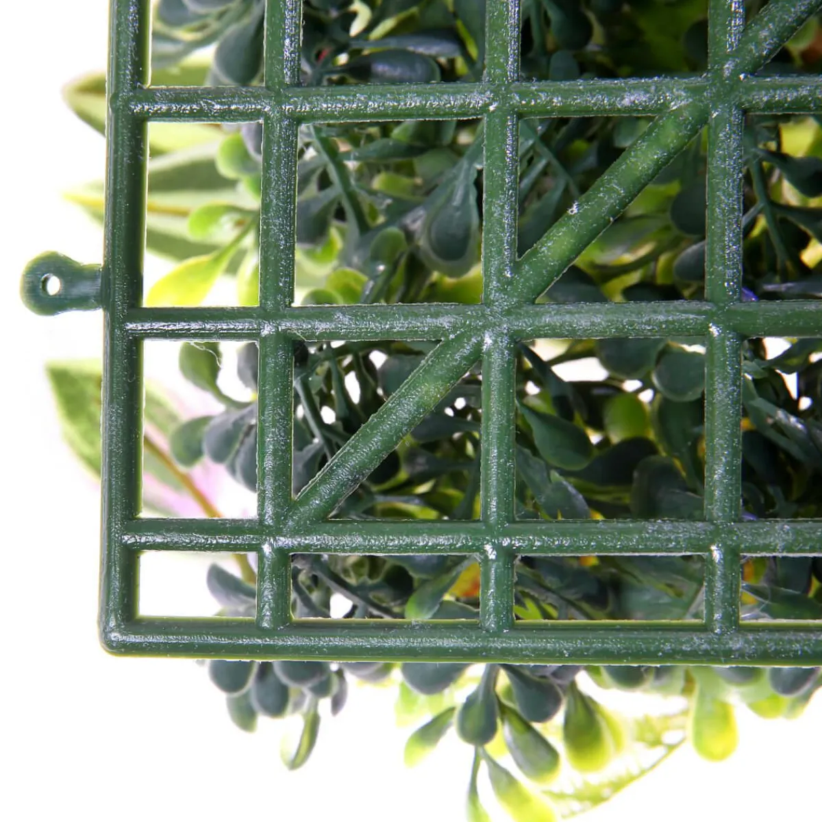 Decoración De Verano|Paredes De Plantas>DecoWoerner Panel Artificial De Arbusto De Fitonia 25 X 25 Cm verde