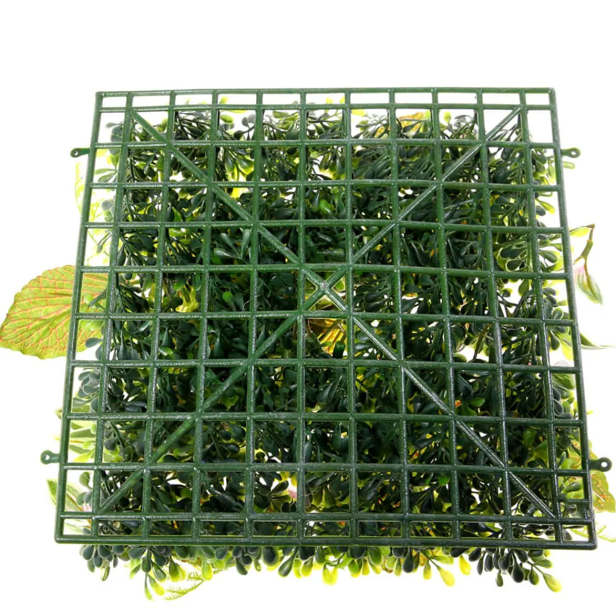 Decoración De Verano|Paredes De Plantas>DecoWoerner Panel Artificial De Arbusto De Fitonia 25 X 25 Cm verde