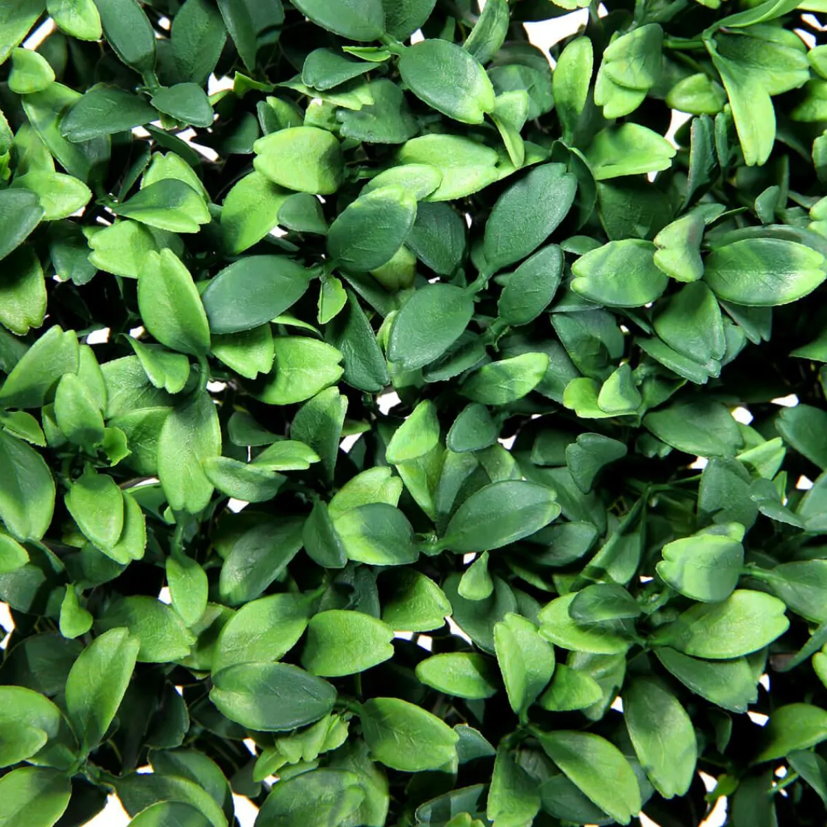 Decoración De Verano|Decoración De Primavera>DecoWoerner Panel De Arbusto Deluxe Artificial, 25 X 25 Cm verde