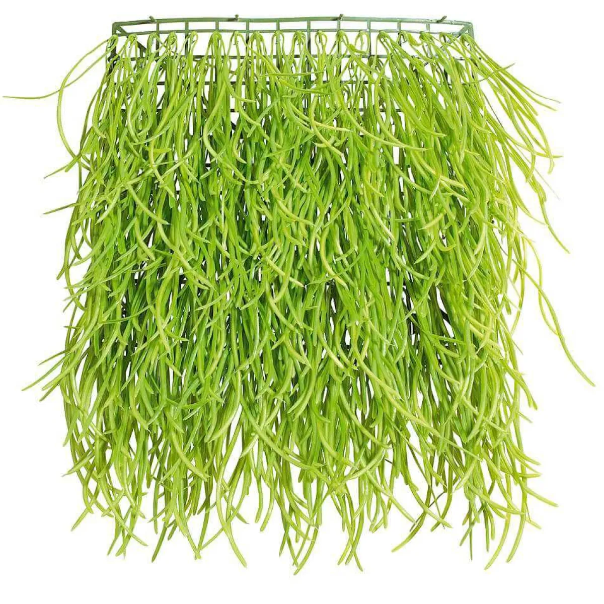 Decoración De Pascua|Decoración De Primavera>DecoWoerner Panel De Hierba Artificial 30 X 30 Cm verde
