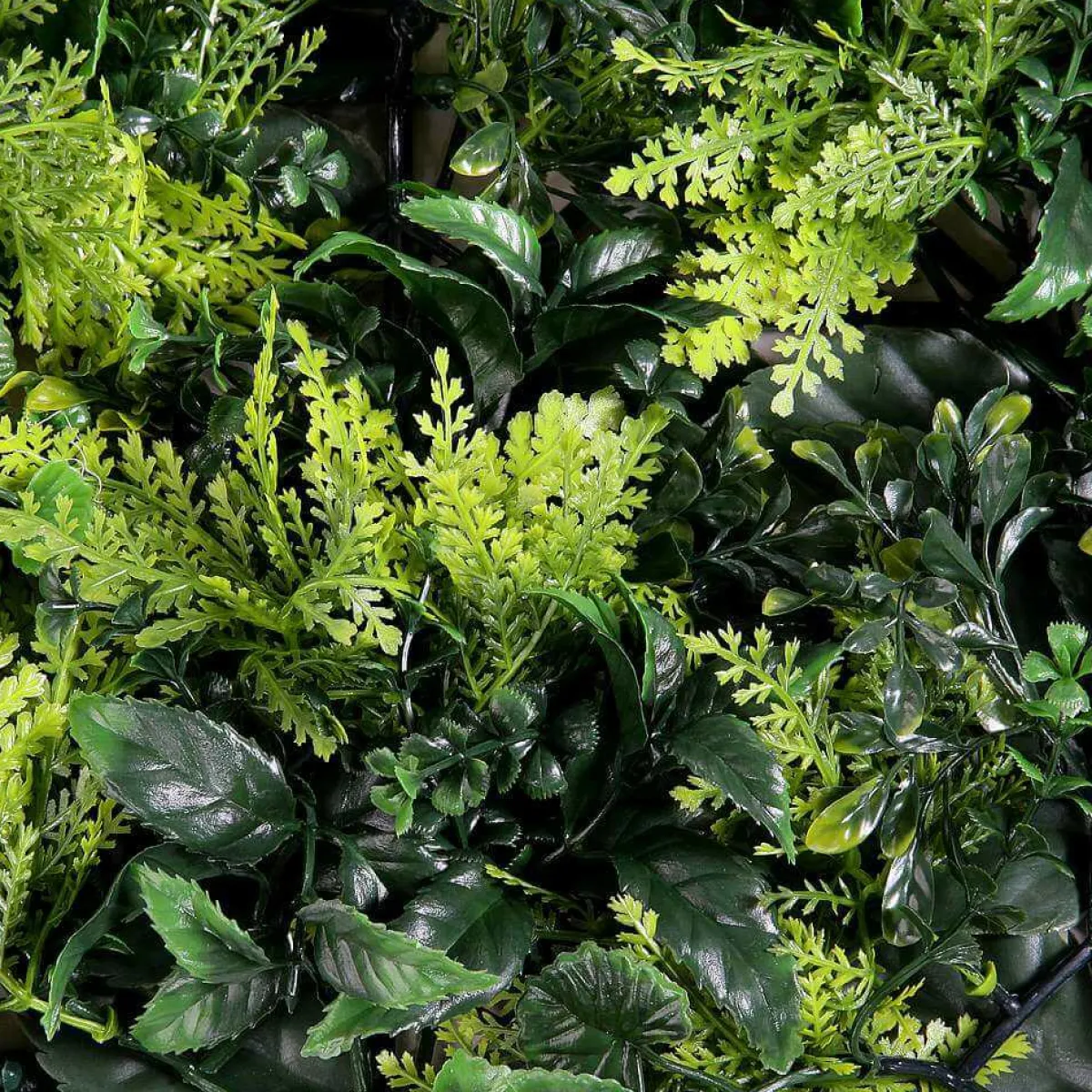 Paredes De Plantas>DecoWoerner Panel De Plantas s Artificiales, 50 X 50 Cm verde