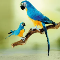 Decoración De Animales|Decoración De Verano><noscript><img width=