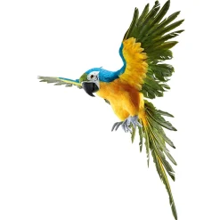 Decoración De Animales|Decoración De Verano><noscript><img width=