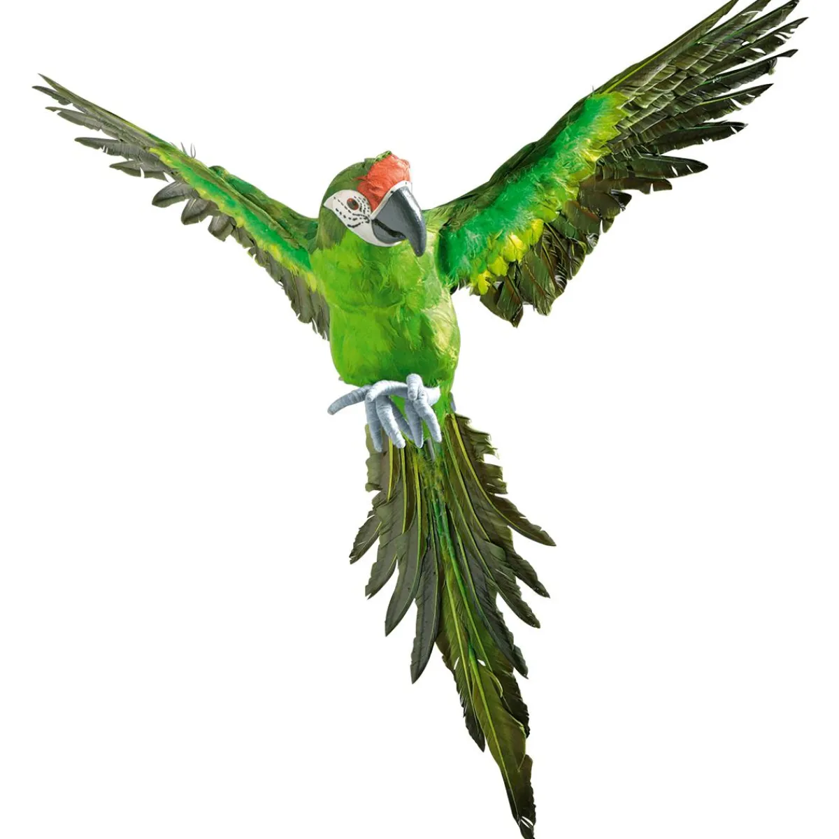 Decoración De Animales|Decoración De Verano>DecoWoerner Papagayo Decorativo Longitud 77 Cm verde