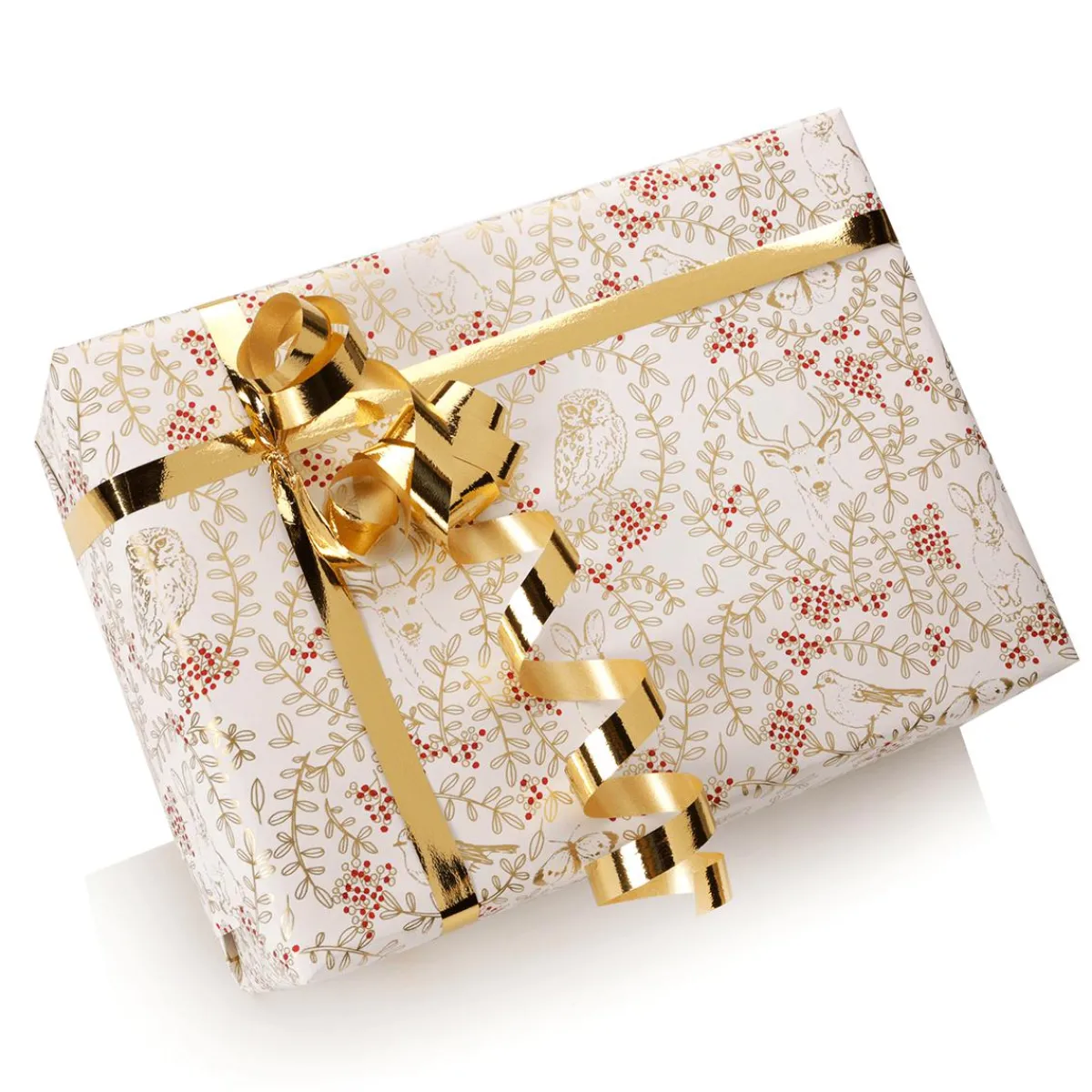 Papel De Regalo|Go Green - Envoltorio Para Regalo Ecológico>DecoWoerner Papel De Envolver Sostenible Con Animales Del Bosque, Vides Y Bayas Rojas - Bobina De Papel De Regalo De 50 M multicolor