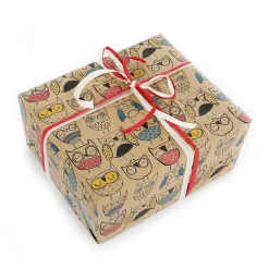 Papel De Regalo|Go Green - Envoltorio Para Regalo Ecológico>DecoWoerner Papel Kraft Reciclado Con Búhos De Colores - Rollo De Papel De Regalo De 50 M. multicolor