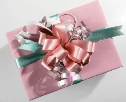 Cintas De Regalo>DecoWoerner Paquete De Ahorro "Cintas De Regalo En Color Pastel