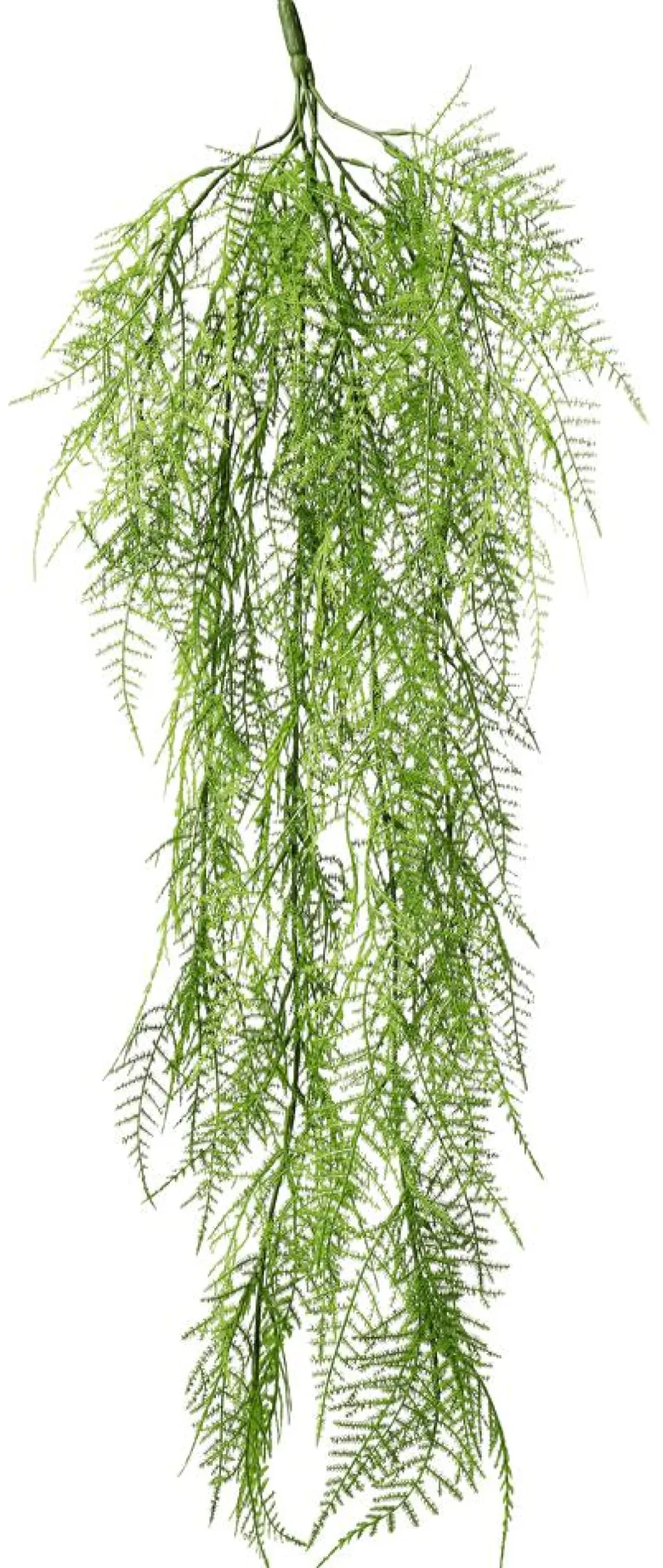 Plantas Verdes|Plantas Colgantes>DecoWoerner Percha Velo Espárrago Ornamental 80 Cm verde