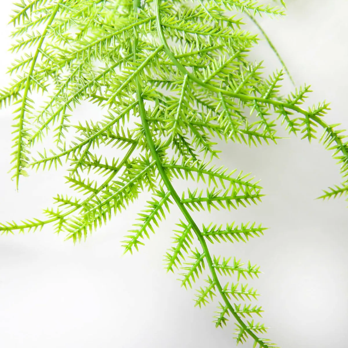 Plantas Verdes|Plantas Colgantes>DecoWoerner Percha Velo Espárrago Ornamental 80 Cm verde