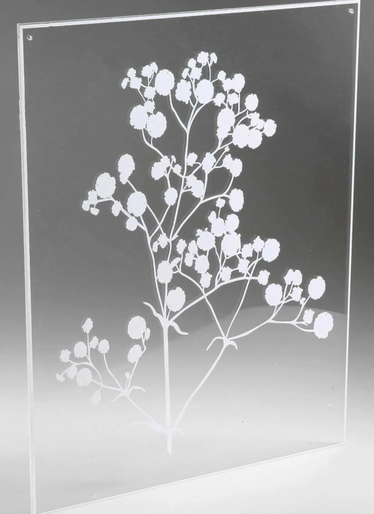 Decoración De Verano|Decoración De Primavera>DecoWoerner Pintura Acrílica "Gypsophila" 35 X 45 Cm transparente