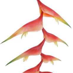 Decoración De Verano|Flores Artificiales>DecoWoerner Pinzas De Langosta De Heliconia Artificial 30 X 96 Cm naranja
