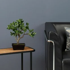Plantas De Interior><noscript><img width=