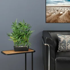Plantas De Interior><noscript><img width=