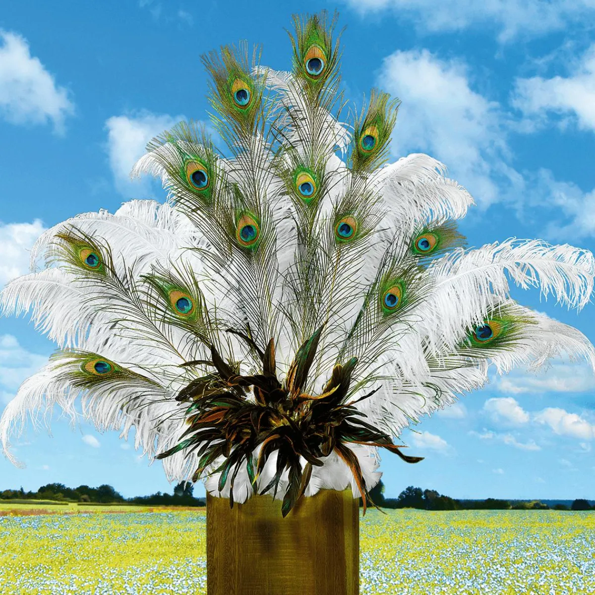 Decoración Dispersa>DecoWoerner Plumas De Pavo Real, 10 Piezas verde