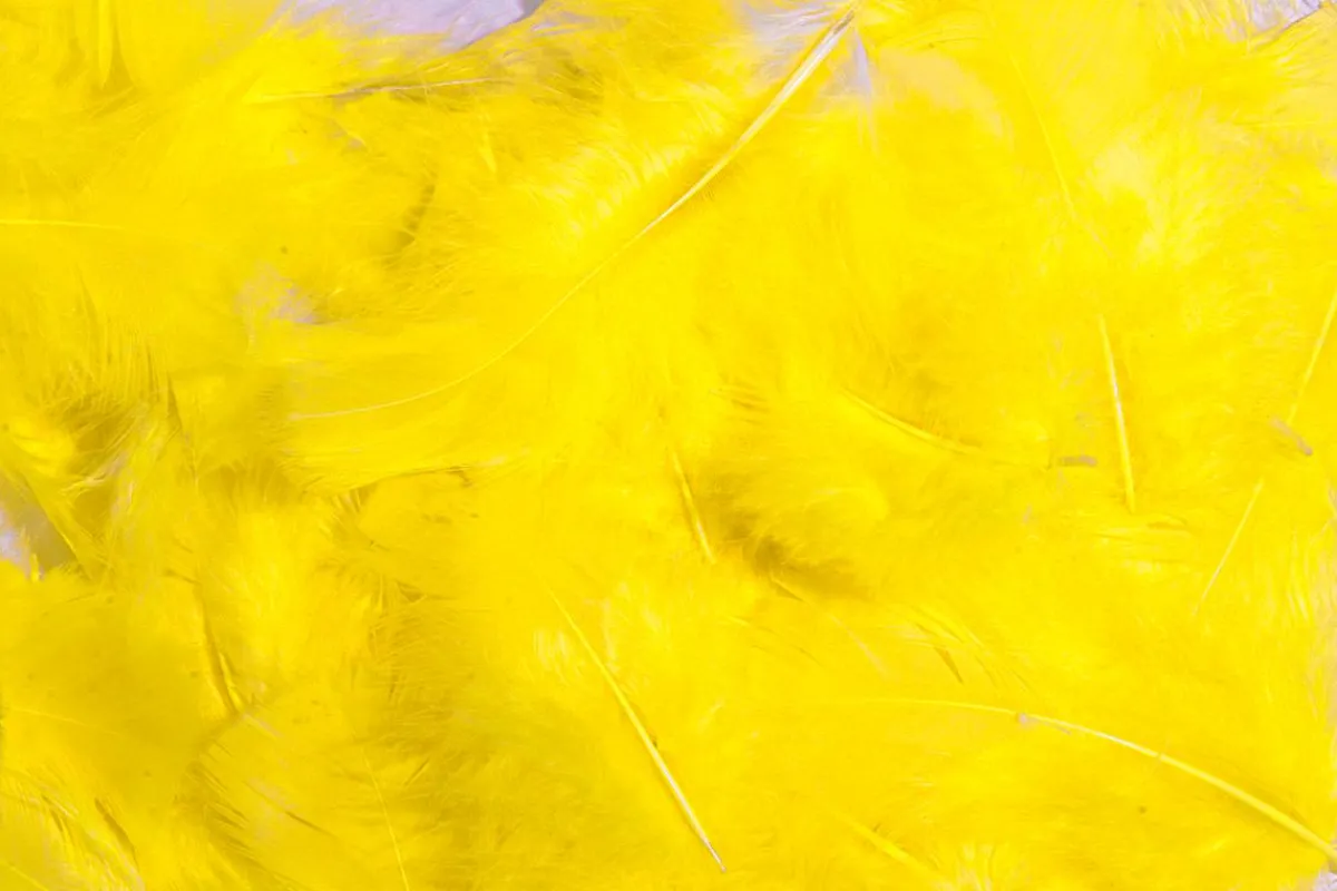 Decoración Dispersa|Decoración De Pascua>DecoWoerner Plumas Decorativas Amarillas, 20 G amarillo