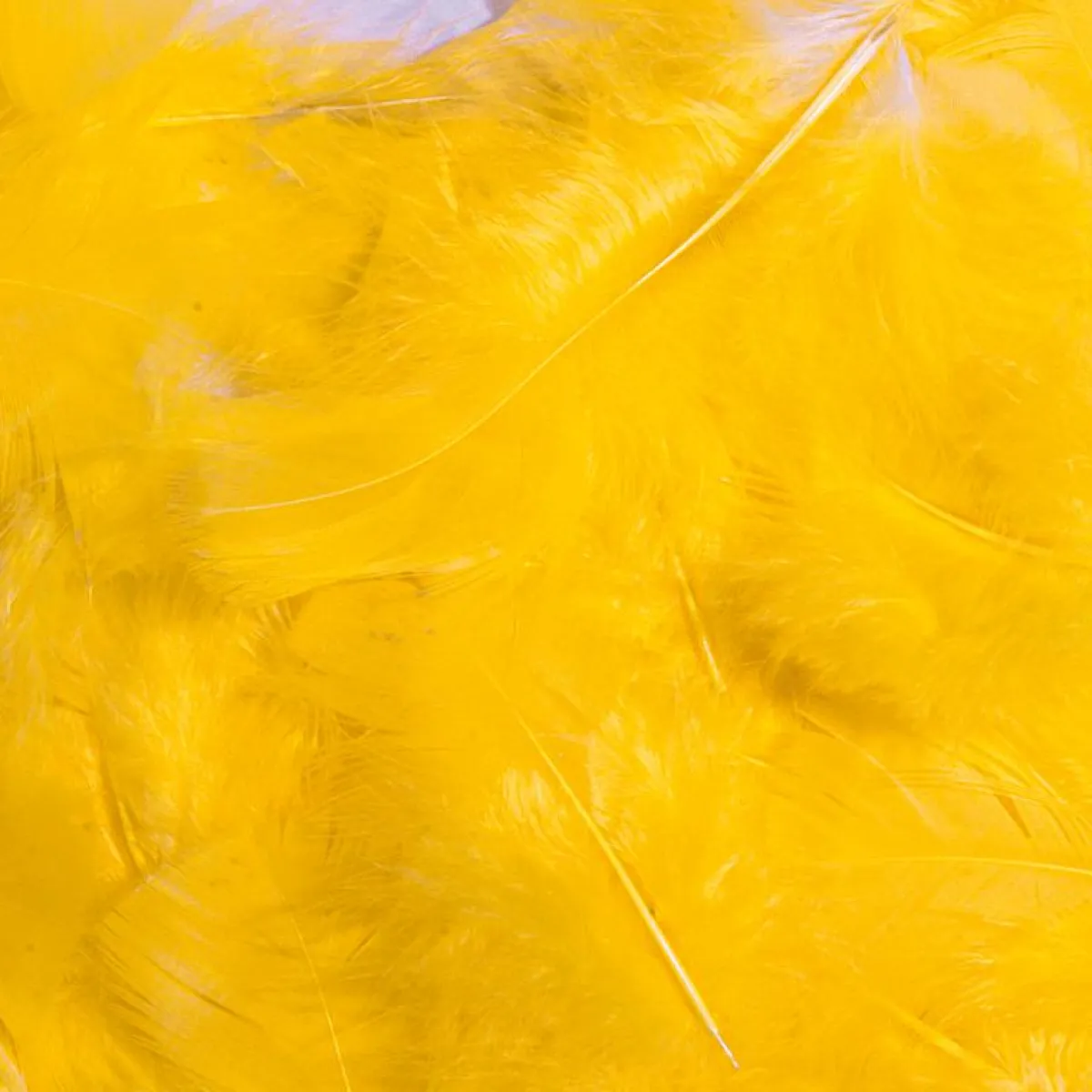 Decoración Dispersa|Decoración De Pascua>DecoWoerner Plumas Decorativas Amarillas, 20 G amarillo