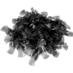 Decoración Dispersa>DecoWoerner Plumas Decorativas Negras, 20 G negro