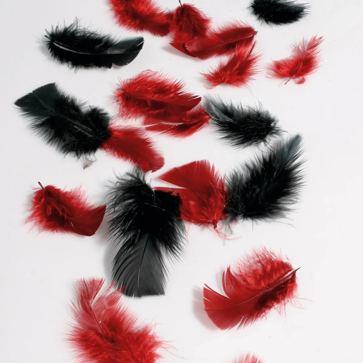 Decoración Dispersa>DecoWoerner Plumas Decorativas Negras, 20 G negro