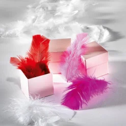 Decoración Dispersa><noscript><img width=