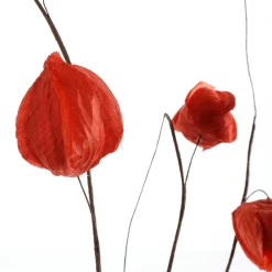 Decoración De Otoño|Ramas Y Ramitas><noscript><img width=