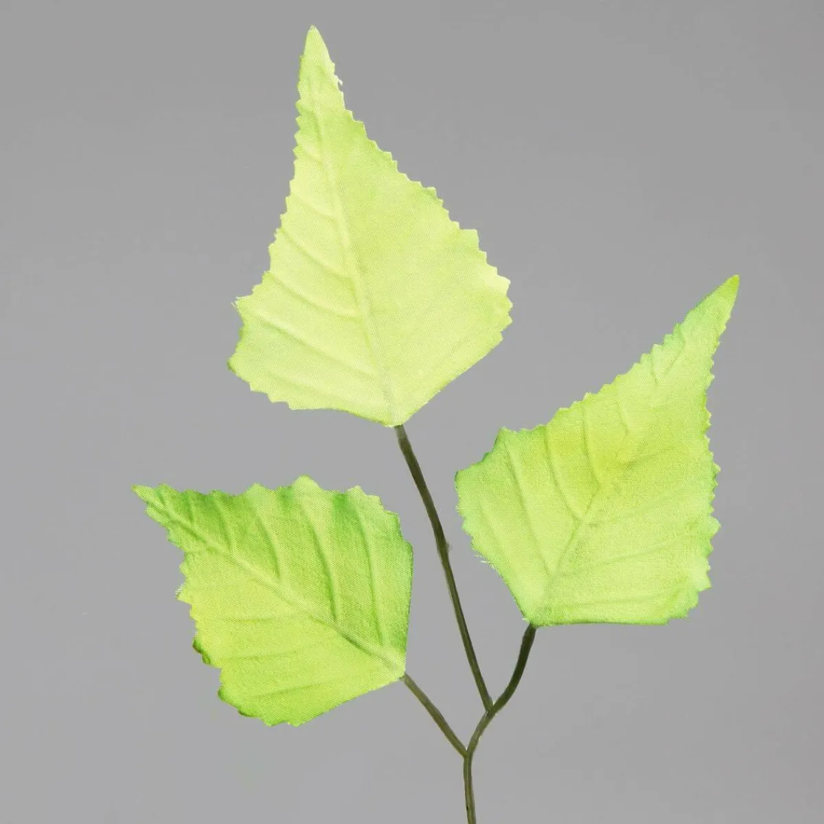 Decoración Temática|Decoración De Primavera>DecoWoerner Rama De Abedul Artificial, 60 Cm verde