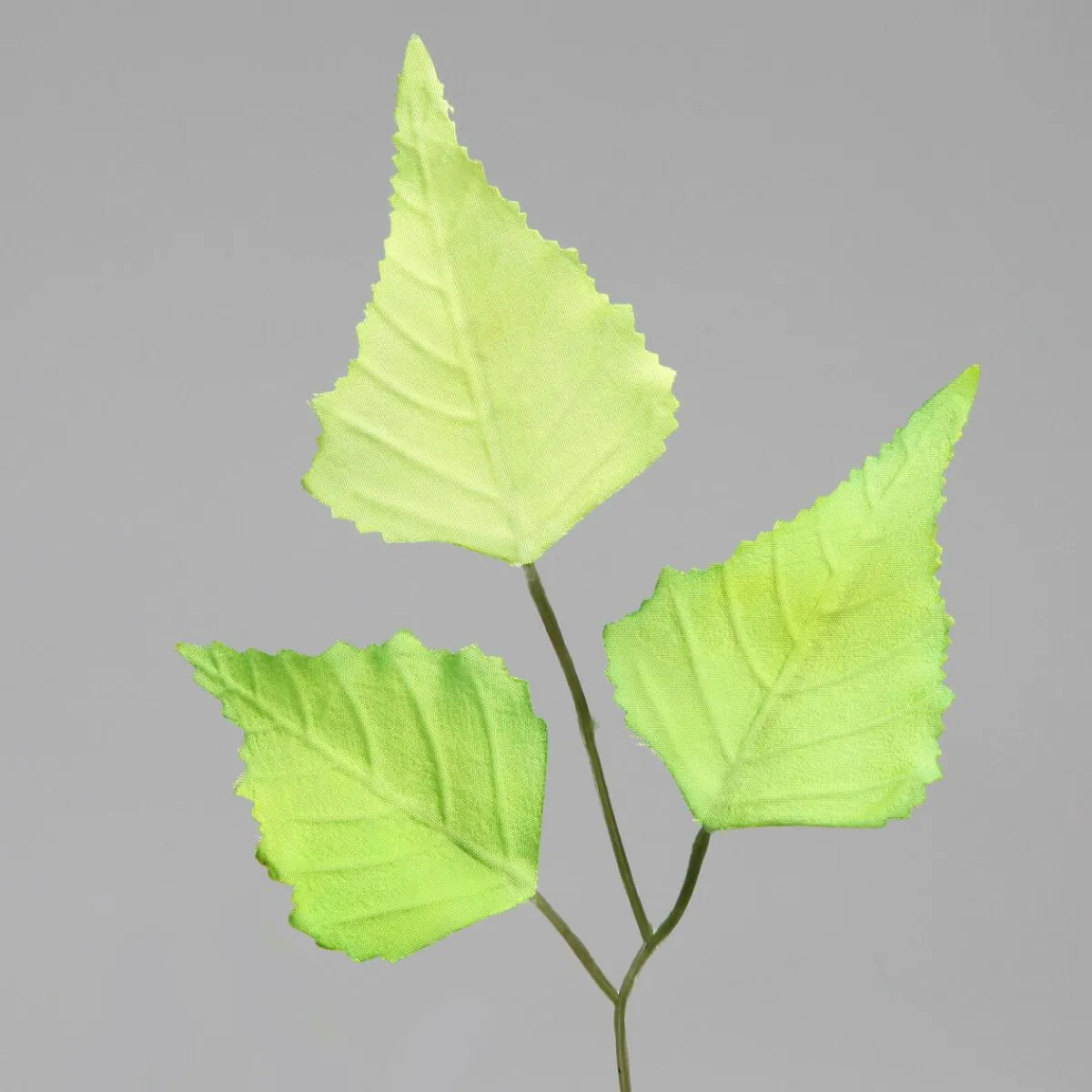 Decoración Temática|Decoración De Primavera>DecoWoerner Rama De Abedul Artificial, 60 Cm verde
