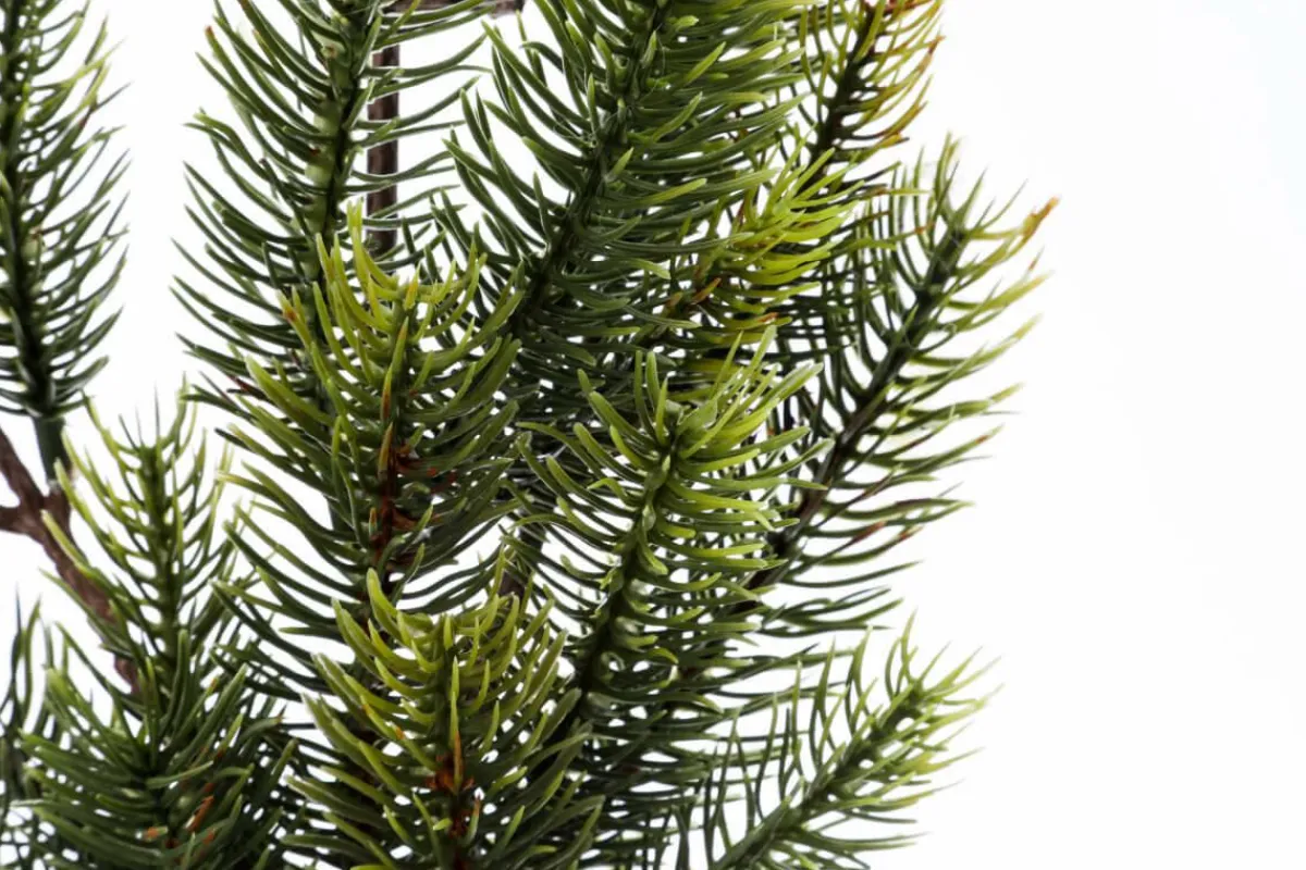 Ramas Y Ramitas|Árboles De Mesa Y Ramas De Abeto>DecoWoerner Rama De Abeto Artificial, 66 Cm De Largo verde