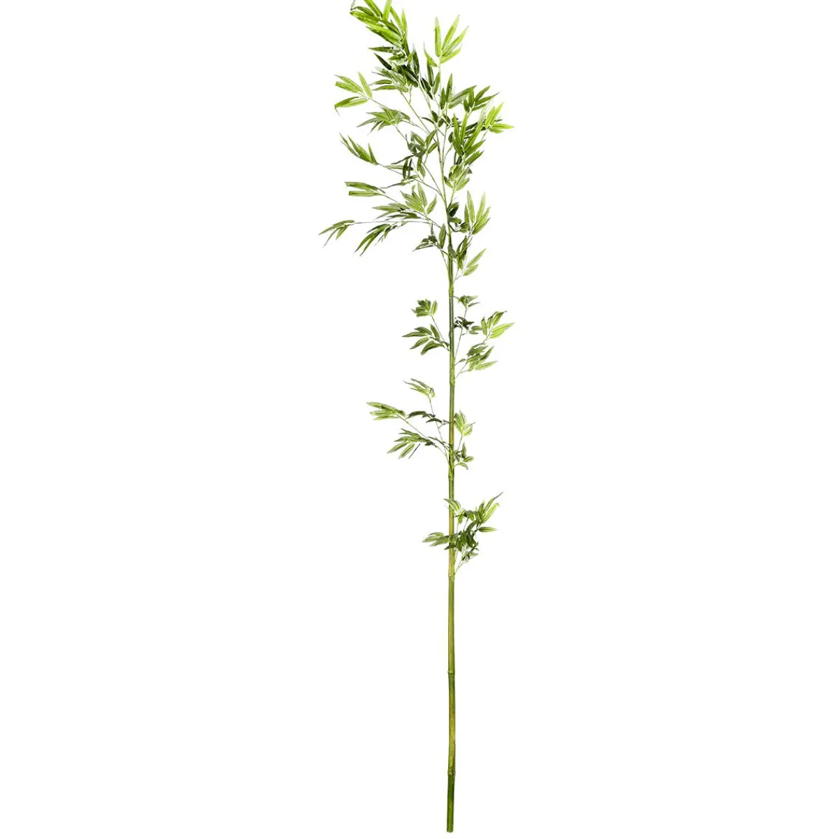 Decoración Temática|Ramas Y Ramitas>DecoWoerner Rama De Bambú, 190 Cm verde
