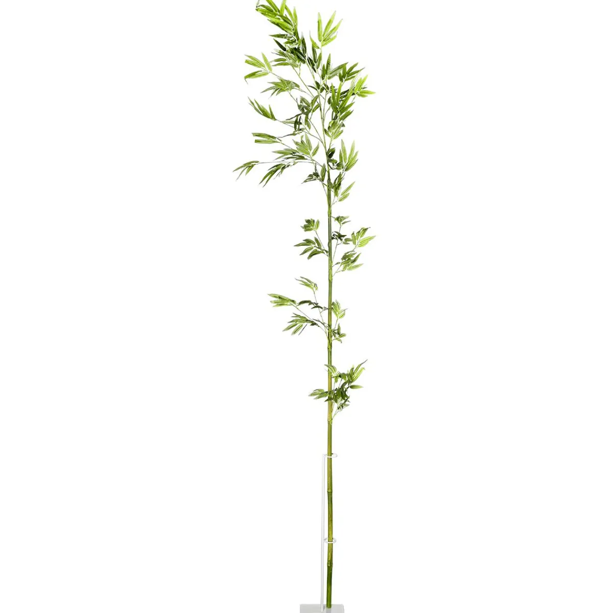 Decoración Temática|Ramas Y Ramitas>DecoWoerner Rama De Bambú, 190 Cm verde