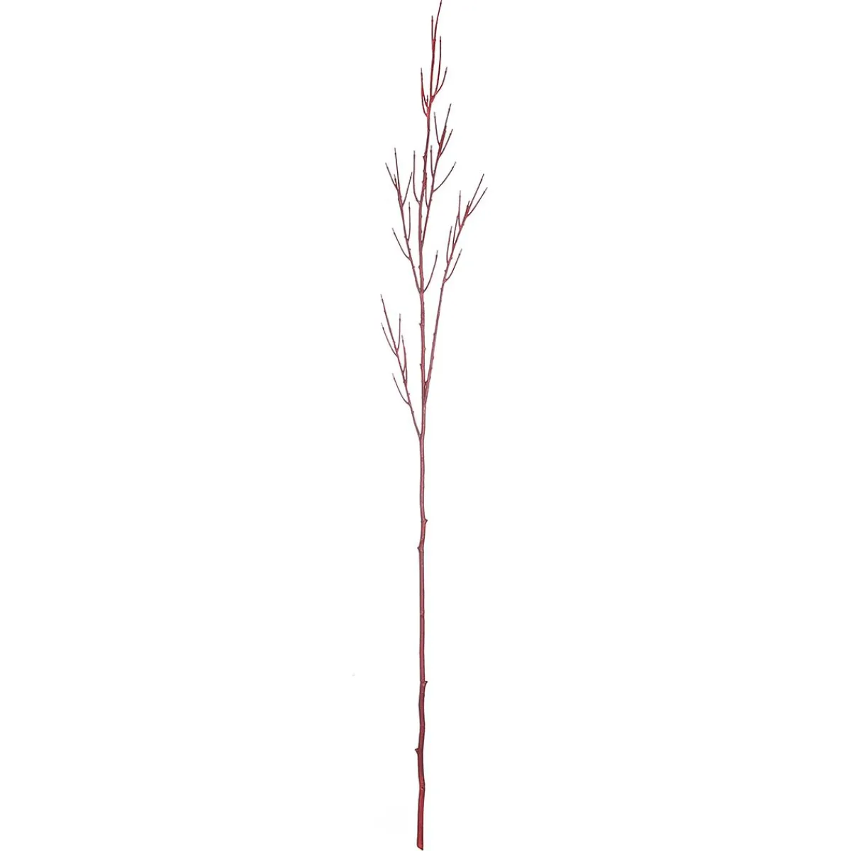 Ramas Y Ramitas>DecoWoerner Rama De Decoración Cornus 130 Cm rojo