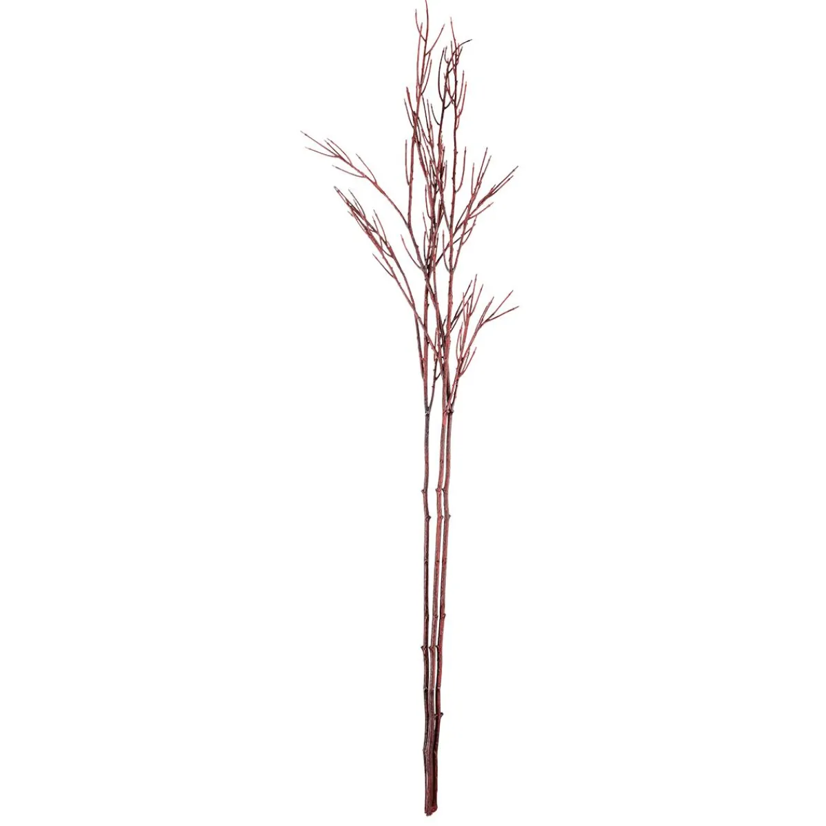 Ramas Y Ramitas>DecoWoerner Rama De Decoración Cornus 130 Cm rojo