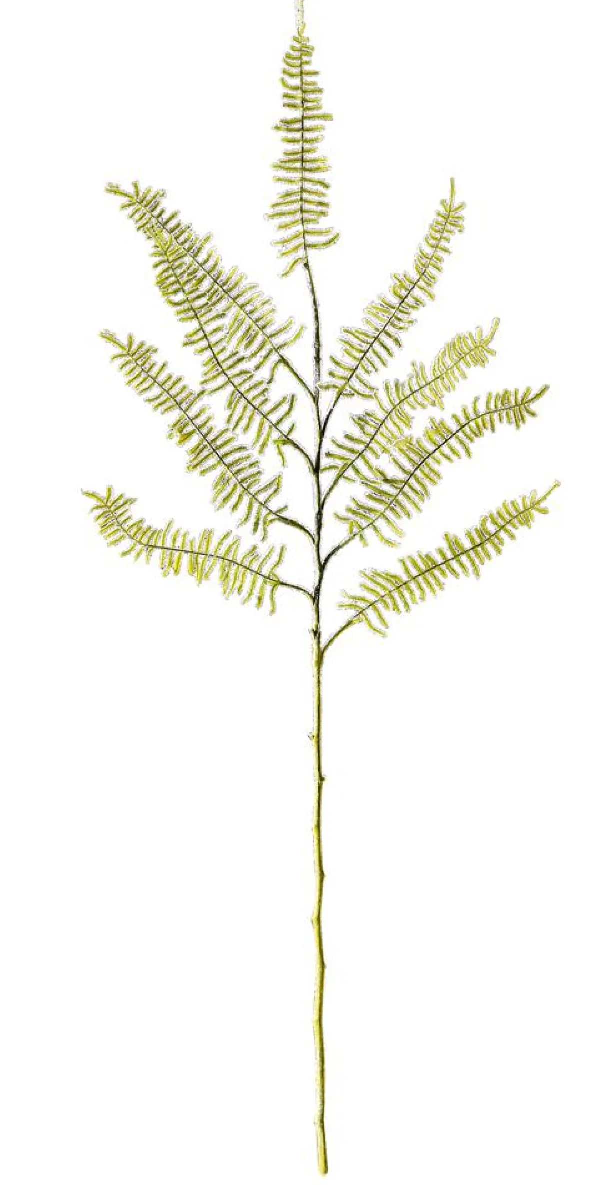 Decoración De Invierno|Ramas Y Ramitas>DecoWoerner Rama De Helecho Artificial Con Nieve, Longitud 80 Cm verde