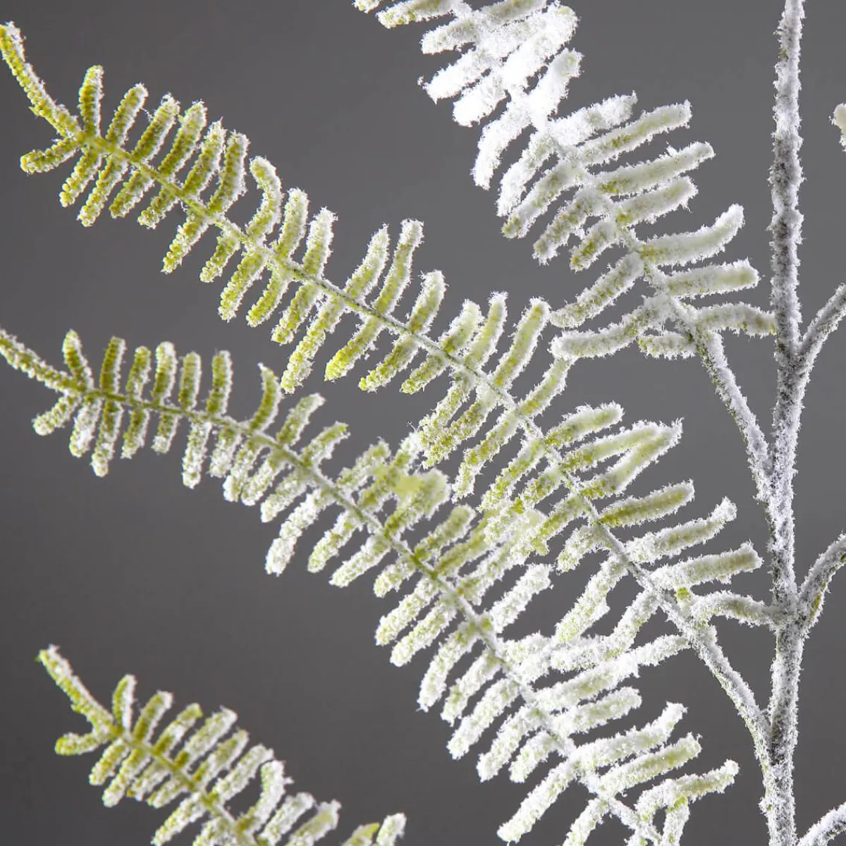 Decoración De Invierno|Ramas Y Ramitas>DecoWoerner Rama De Helecho Artificial Con Nieve, Longitud 80 Cm verde