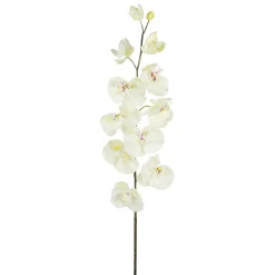 Ramas Y Ramitas|Flores Artificiales>DecoWoerner Rama De Orquídea Deco Blanca 110 Cm blanco