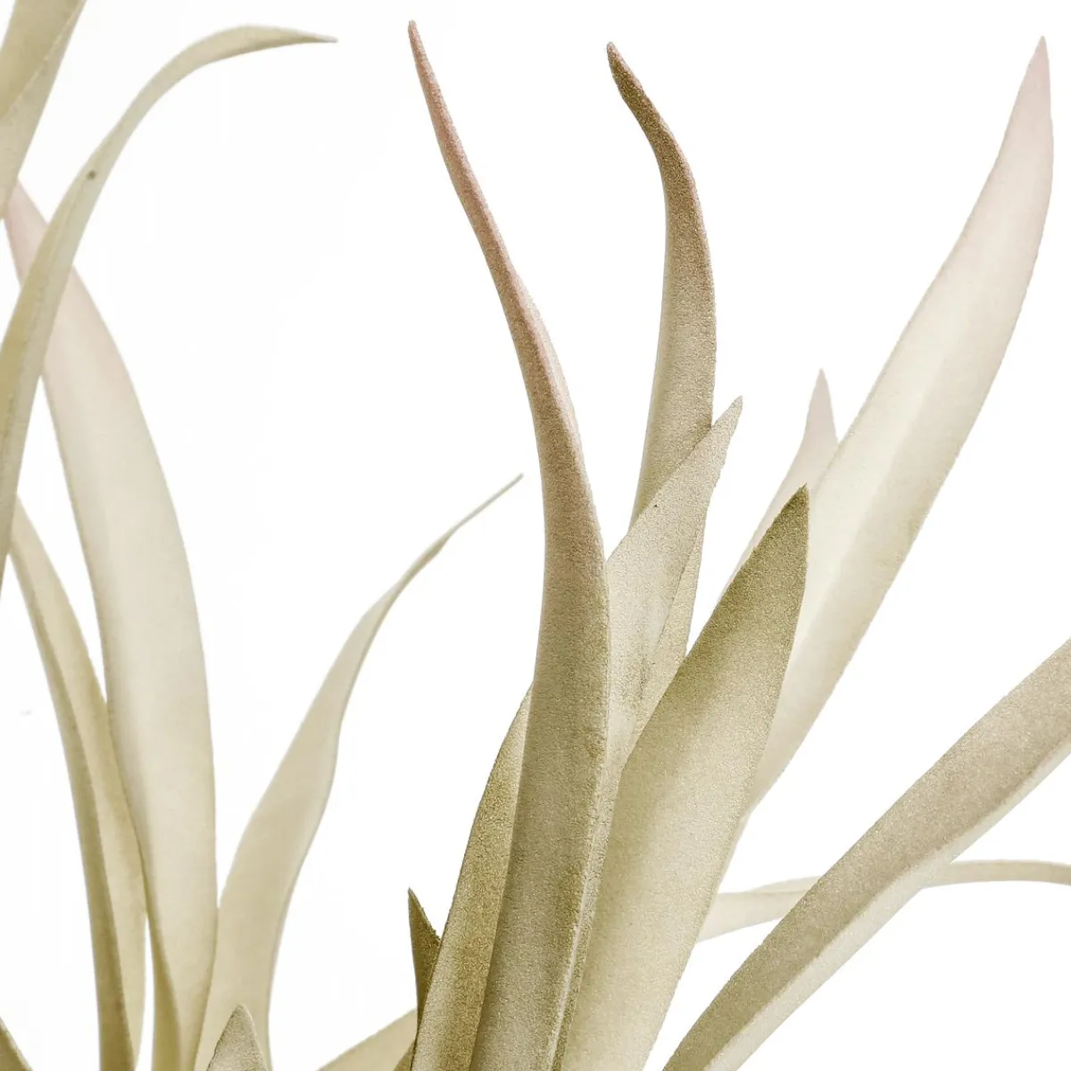 Decoración De Otoño|Ramas Y Ramitas>DecoWoerner Rama De Sauce Artificial Con Hojas Largas 2 Piezas, 62 Cm Claro verde