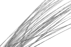Ramas Y Ramitas><noscript><img width=