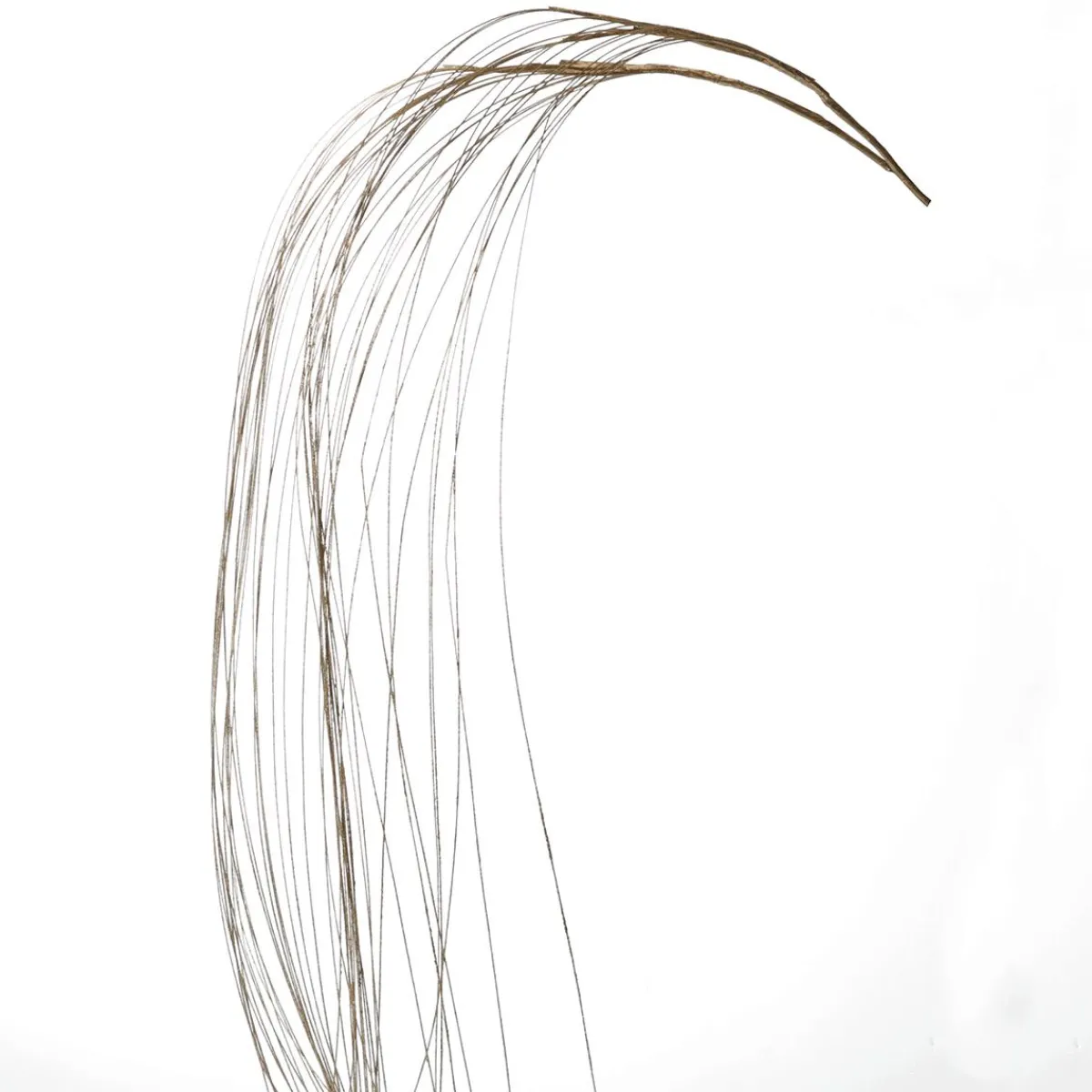 Ramas Y Ramitas>DecoWoerner Rama Decorativa Hierba Dorada 100 Cm De Largo, 2 Piezas oro