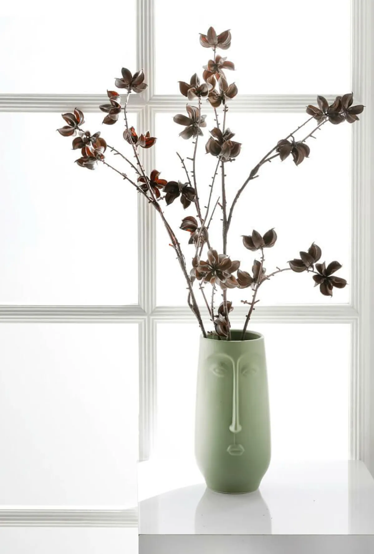 Ramas Y Ramitas>DecoWoerner Rama Decorativa Infrutescencia Del Algodón 110 Cm marrón