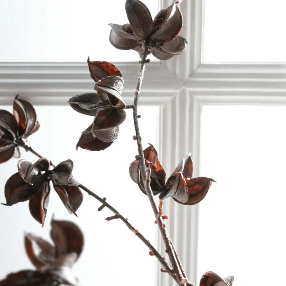 Ramas Y Ramitas>DecoWoerner Rama Decorativa Infrutescencia Del Algodón 110 Cm marrón