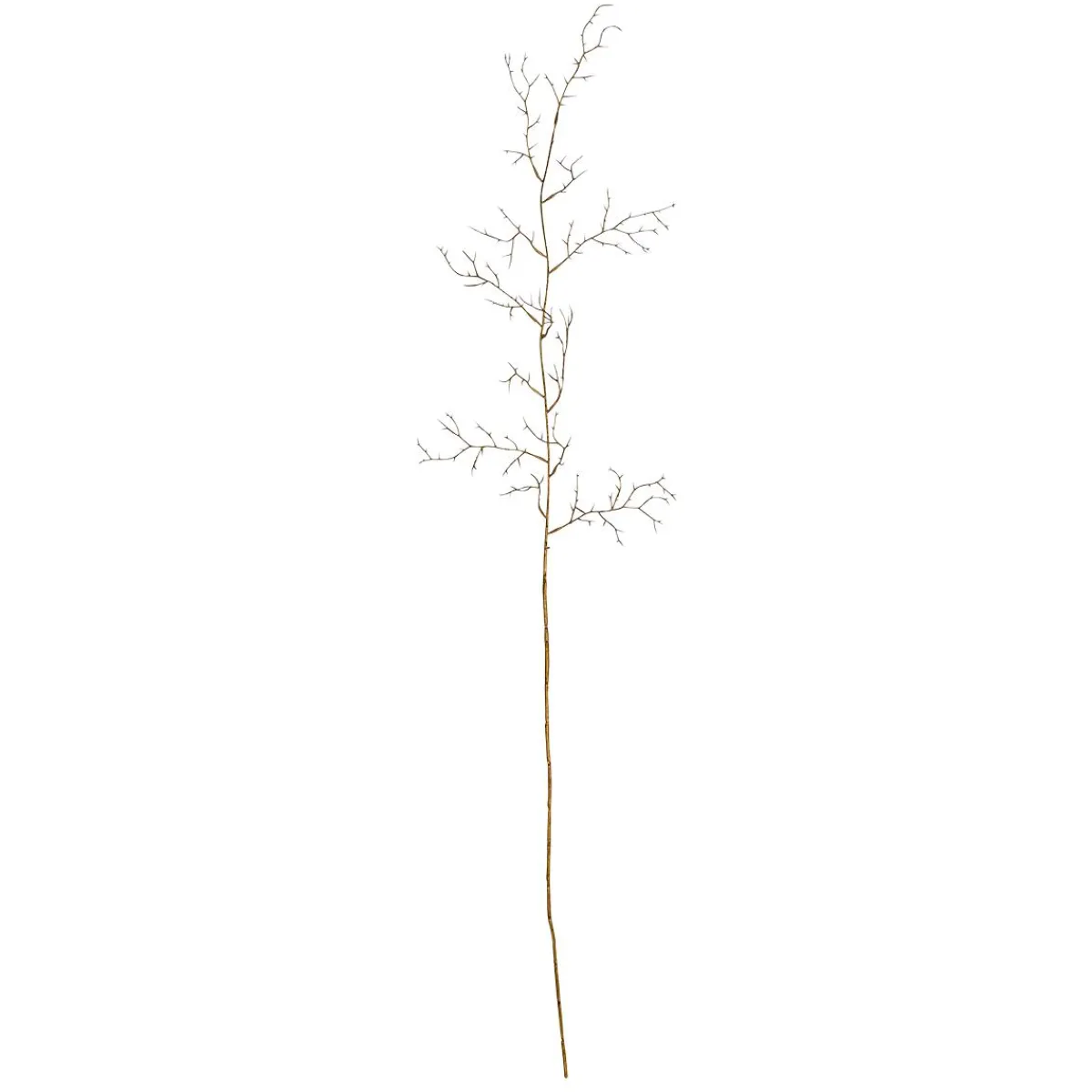 Ramas Y Ramitas>DecoWoerner Ramita Decorativa Espinas , Longitud 110 Cm oro