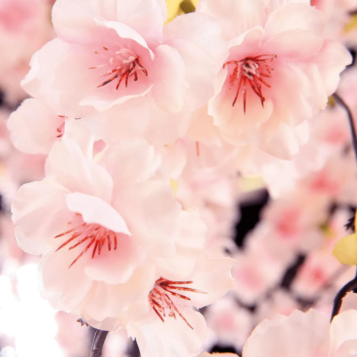 Decoración De Primavera|Árboles Artificiales>DecoWoerner Árbol De Flores De Cerezo Artificial Blanco, 150 Cm rosa